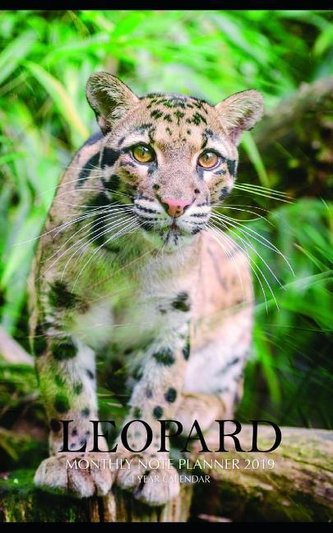 Leopard Monthly Note Planner 2019 1 Year Calendar