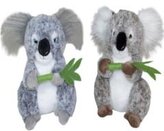 Koala 20cm MIX
