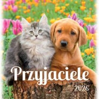 Kalendarz 2026 wieloplanszowy 33x33cm Przyjaciele