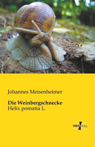 Die Weinbergschnecke
