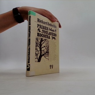 Příběh toulavého kocoura