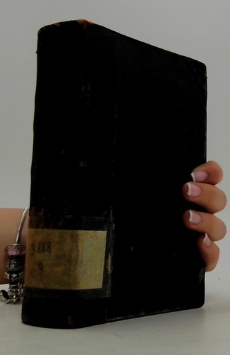 Flaubert spisy IX - Cestovní deníky