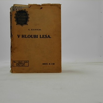 V Hloubi Lesa