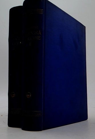 Americká tragedie I,II