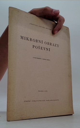 Mikrobní obrazy poševní
