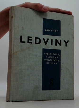 Ledviny fysiologie, klinická fysiologie, klinika