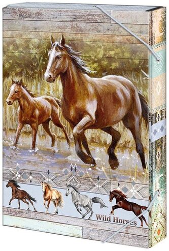 Box na sešity A5 Wild horses