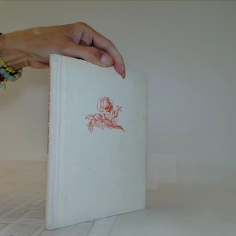 Mikoláš Aleš knížka o jeho životě a díle