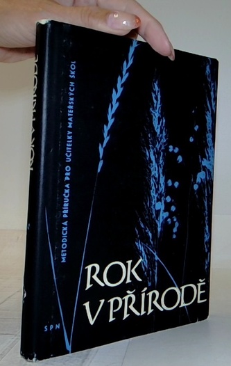Rok v přírodě