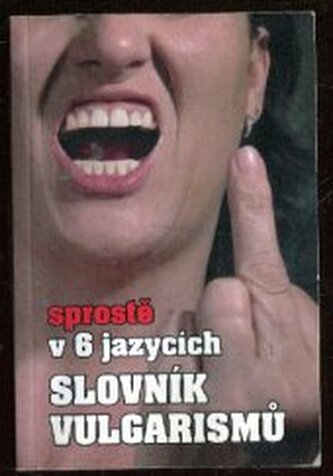 Slovník vulgarismů sprostě v 6 jazycích