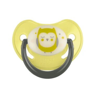 CANPOL 22/501_gre new Smoczek uspokajający silikonowy 6-18m anatomiczny NIGHT DREAMS zielony