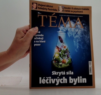 Téma 38/2019
