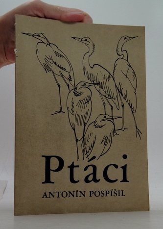 Ptáci