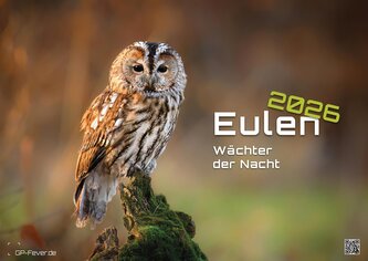 Eulen - Wächter der Nacht - 2026 - Kalender DIN A2