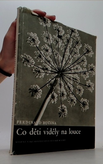 Co děti viděly na louce