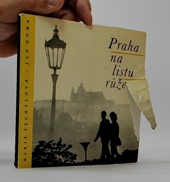 Praha na listu růže