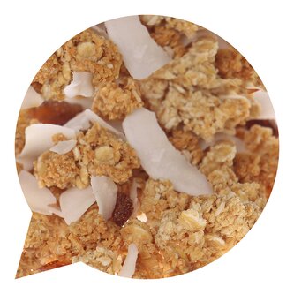 Müsli Nebuď hloupý! Křupavé s kokosem a medem 4 kg BIO   BIO NEBIO