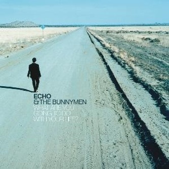 Echo & the Bunnymen:  What Are You Going To Do With Your Life ?