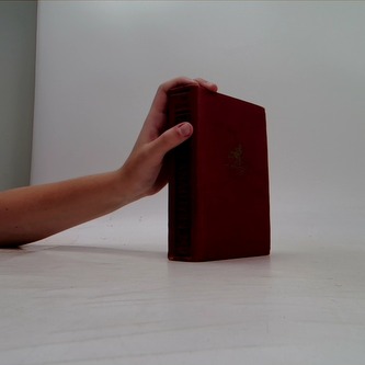 Dvě královny vdovy. Dějepisný obraz z počátku 14. století (1305-