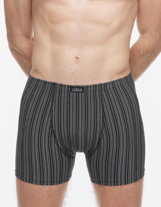 Pánské boxerky Gino vícebarevné (74183-MxCDxG) L