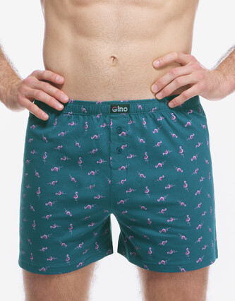 Pánské trenky Gino zelené (75217-DZMDFR) M