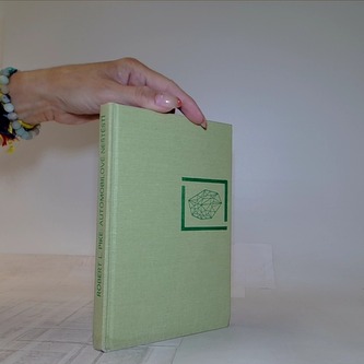 Automobilové neštěstí