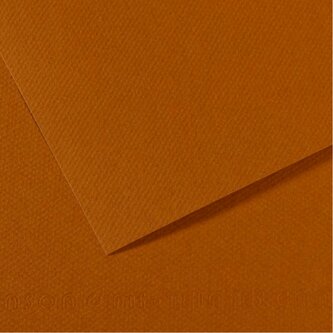 Karton Canson Mi-teintes A4 160g 50ark 340-oyster (200321657)