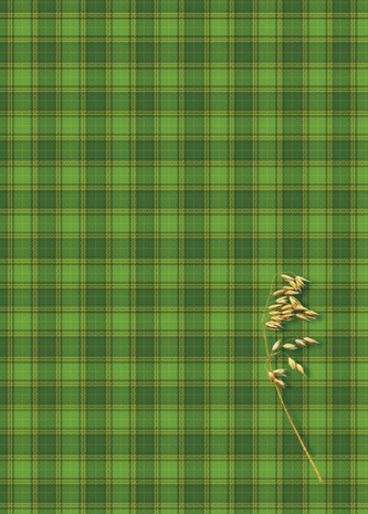 Brulion B5 160k. kratka oprawa twarda