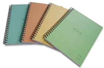 Kołonotatnik A5 160 kartek kratka