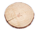 Přírodní dřevěné kolečko / podložka k domalování a dotvoření 2. jakost - 1 ks - 3 (Ø21 cm) přírodní