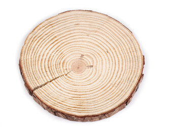 Přírodní dřevěné kolečko / podložka k domalování a dotvoření 2. jakost - 1 ks - 3 (Ø21 cm) přírodní