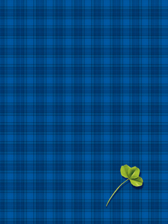 Brulion A4 300k. kratka oprawa twarda