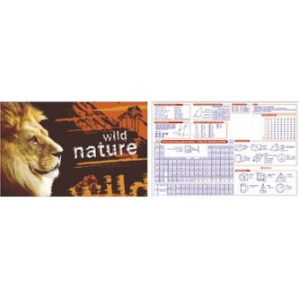 Mata dwustronna na biurko z nadrukiem LEW 0318-0061-80