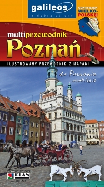Poznań multiprzewodnik