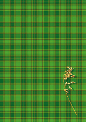 Brulion A4 200k. kratka oprawa twarda