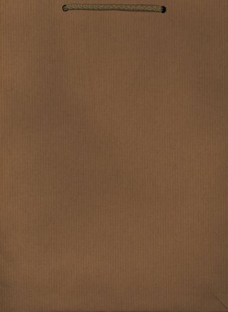 Torba Kraft X op=10 szt. szara (24x31x9)