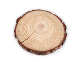 Přírodní dřevěné kolečko / podložka k domalování a dotvoření 2. jakost - 1 ks - 2 (Ø16 cm) přírodní