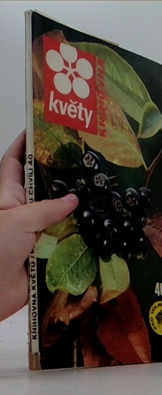 Knihovna Květy - 40 pro volnou chvíli