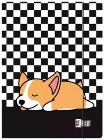 Teczka z gumką A4 Sleepy Corgi