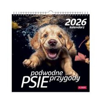 Kalendarz 2026 wieloplanszowy kwadrat Psy pod wodą