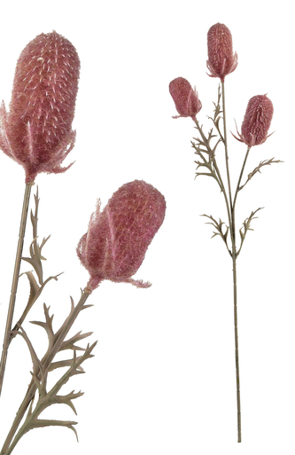 VIRIDIS Kwiat sztuczny Oset gałązka 70cm AW25