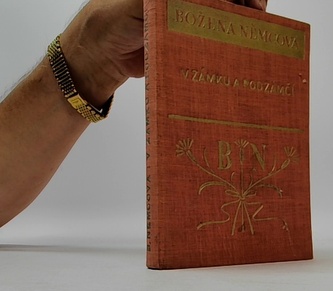 V zámku a podzámčí