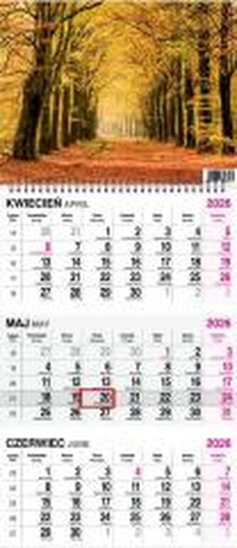 Kalendarz 2026 trójdzielny na spirali Las