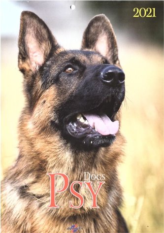 Kalendarz 2021 KSM-3 Psy AVANTI