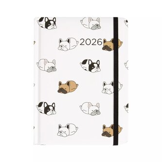 Kalendarz 2026 B6 dzienny. Psy