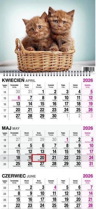 Kalendarz 2026 trójdzielny na spirali Koty