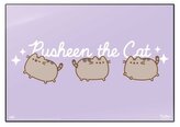 Podložka na psací stůl Pusheen: Momenty v kočičím životě (49,5 cm x 34,5 cm)