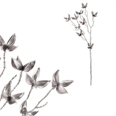 Větev umělá - špičaté lístky, barva stříbrná