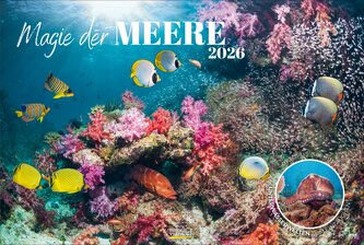 Magie der Meere 2026