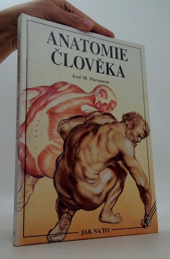 Anatomie člověka